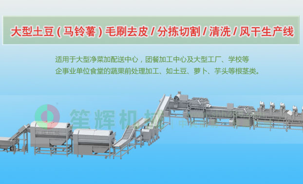 洪江连续式土豆去皮清洗切割风干生产线